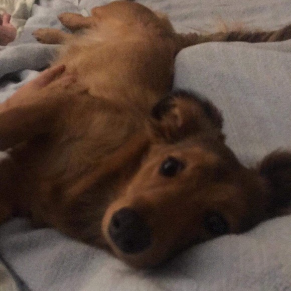 Meet your Posher, Kathy - Picture 1 of 1